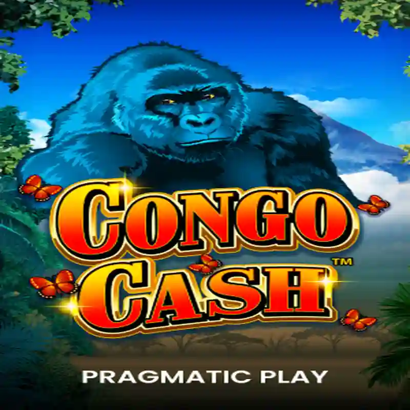Congo Cash XL